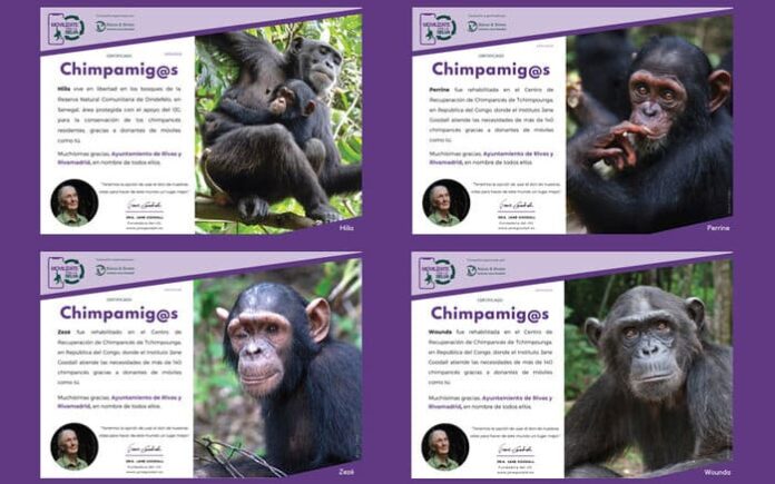 Movilizate por la selva (1)