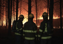 Bomberos forestales de la región convocan una protesta por el «acoso y maltrato» de la Comunidad de Madrid