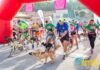 Dorsales disponibles para la V Carrera Solidaria por la Biodiversidad organizada por Run Faster Rivas