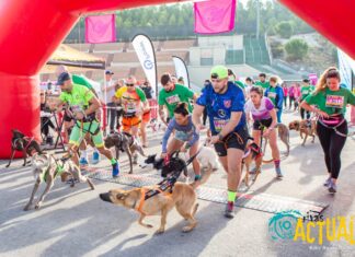 Dorsales disponibles para la V Carrera Solidaria por la Biodiversidad organizada por Run Faster Rivas