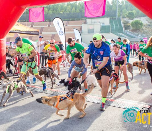 Dorsales disponibles para la V Carrera Solidaria por la Biodiversidad organizada por Run Faster Rivas