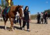 La Comunidad desarrolla un programa de terapia asistida con caballos para lograr la recuperación de mujeres víctimas de violencia machista