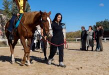 La Comunidad desarrolla un programa de terapia asistida con caballos para lograr la recuperación de mujeres víctimas de violencia machista