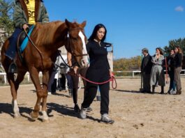 La Comunidad desarrolla un programa de terapia asistida con caballos para lograr la recuperación de mujeres víctimas de violencia machista