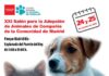 El CIPAR de Rivas estará presente en el Salón de la Adopción de la Comunidad de Madrid