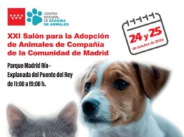 El CIPAR de Rivas estará presente en el Salón de la Adopción de la Comunidad de Madrid
