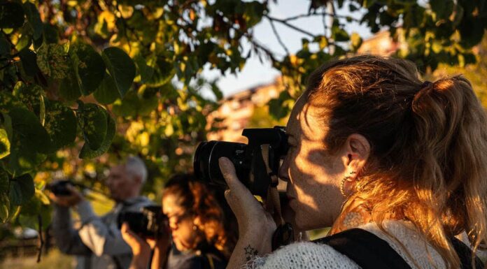 Talleres de Fotografía Creativa de la Universidad Popular: un lujo con 15 años de trayectoria